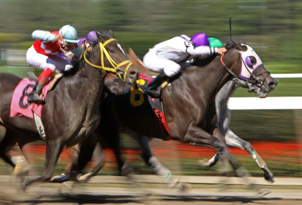 Best horse racing sign up bonus