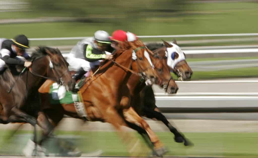 most popular horse racing betting sites